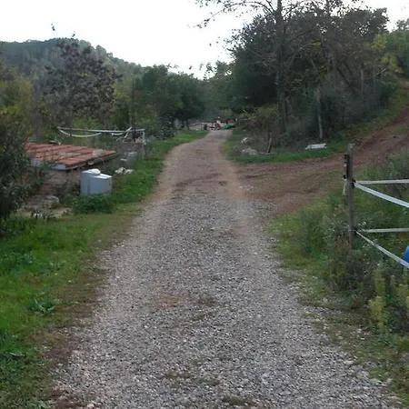 La Del Minatore